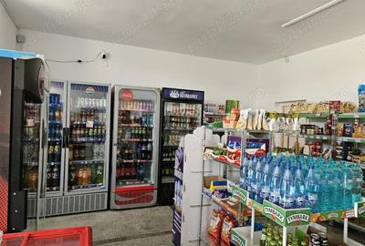 Vanzare spa?iu comercial satesc - 1