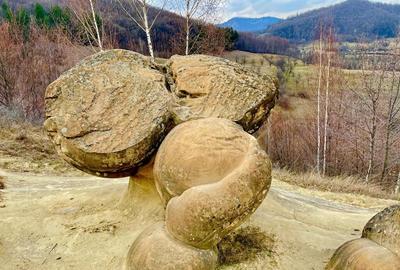 Terenuri extravilane Cozieni, jud. Buzau 70000mp - 8