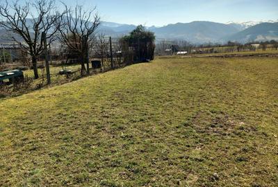 Spațiu comercial, în Rășinari - 4