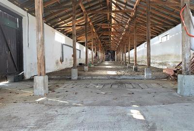 Teren intravilan de 3408 mp, în Voivozi (Popești) - 11