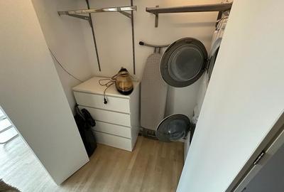 Inchiriere Penthouse Lux langa padure, Iancu Nicolae - 28