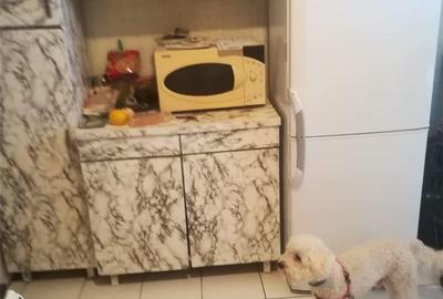 Apartament cu 3 camere decomandat în Rogerius - 2