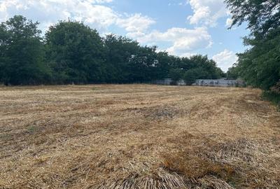 Teren intravilan 2580 mp - Hagiesti Teren intravilan 2580 mp - Hagiesti - 2