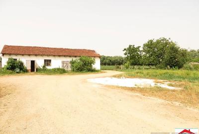 Casă cu 4 camere cu Teren 43000 Mp în Livada - 1