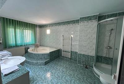 Apartament 3 camere, spatios, mobilat si utilat Racadau - 7