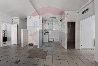 Spațiu comercial, de 207 mp, în Mioriței - 8