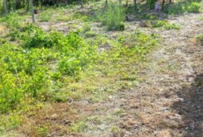 Blitz va ofera spre vanzare casa in Covasan? - 14