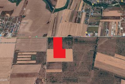 Teren Construcții extravilan de 75800 mp, în Popești-Leordeni - 3