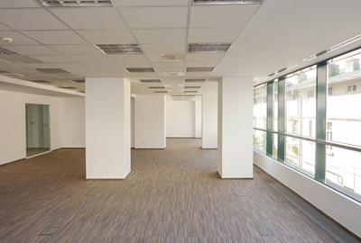 Casa Daneza, Icoanei, 259 - 632 mp  0% comision! - 3