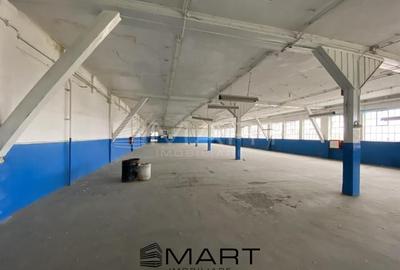 Spatiu industrial 1 camere zona  Cisnadie - 3