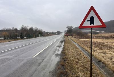 Teren de 10000 mp, în Căpușu Mare - 2