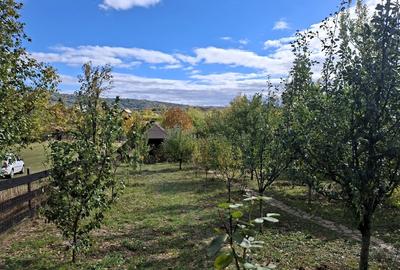 Casă cu 5 camere cu Teren 7017 Mp în Pruni - 4