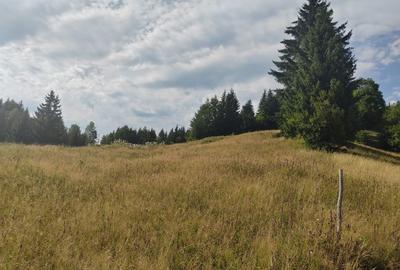 Teren Colibita - 2 hectare - acces direct din drumul 173 D - 5