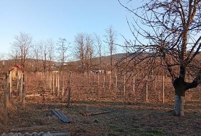 Casă individuală cu 5 camere cu Teren 1800 Mp în Voinești - 3