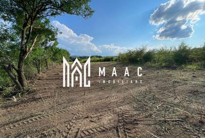 Oportunitate de Investiție Strategică | Teren Intravilan | Colonia Becas - 8