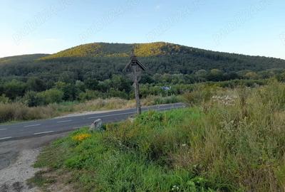 Teren de 2400 mp, în Păucinești - 3