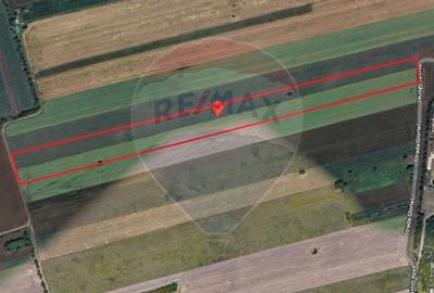 Teren Intravilan 17,500mp Giurgiu / Strada Gloriei - 2