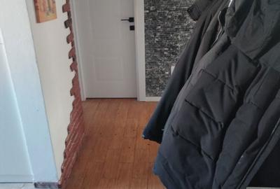 Apartament cu 2 camere decomandat în Paltin - 5