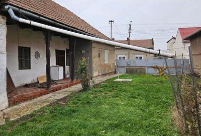 De inchiriat locuinta unifamiliala cu curte si gradina - 2