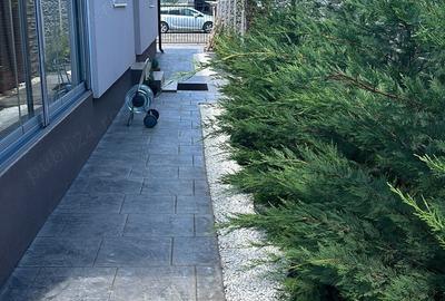 Vand jumatate duplex pe parter in Mosnita Noua - 10