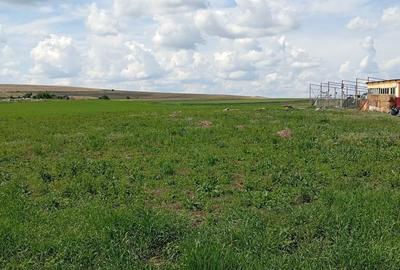 Spațiu comercial, în Copăceni