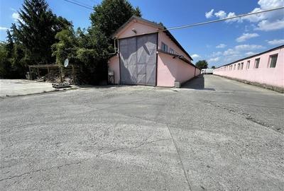 Hala 400mp - acces TIR - 2