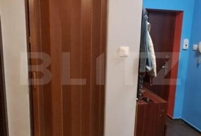 Apartament 2 camere, parter inalt ,zona Porii - 10