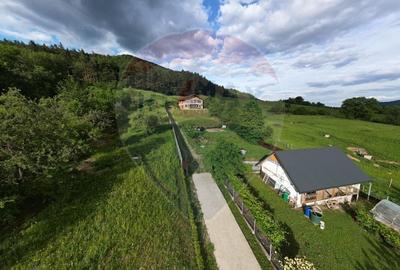 Casa de vanzare - Bistrita, zona Alexandru cel Bun - 22