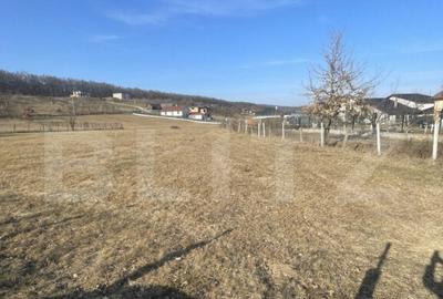 Teren intravilan de vanzare, 742 mp, zona Valea Rusului - 2
