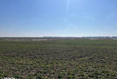 Teren de 5000 mp, în Central - 2