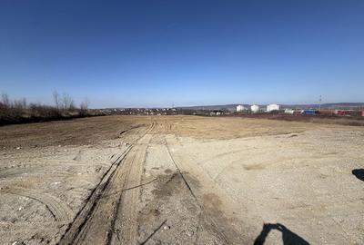 Spațiu comercial, în Bradu - 4