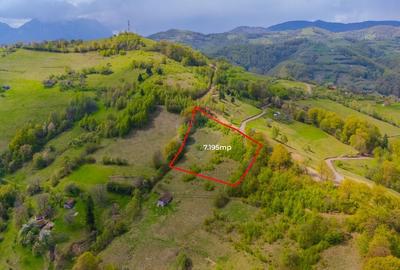 Teren 7,195mp Poiana Marului /Extravilan/Oportunitate investiție - 1