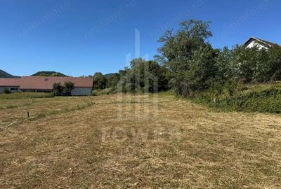 4 Parcele de vanzare | Rasinari - 7