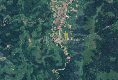 Teren de 16000 mp, în Borlovenii Noi - 7