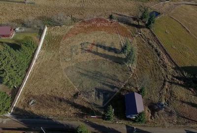 Teren 3,548mp, intravilan, Balcesti (Belis) - 8