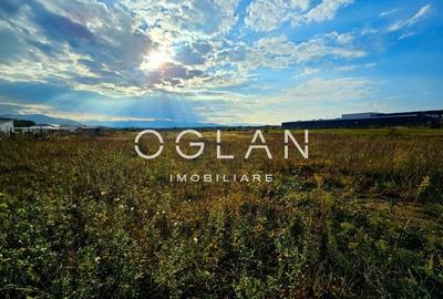 Teren pentru investitie , Selimbar COMISION 0% Teren pentru investitie , Selimbar COMISION 0% - 3