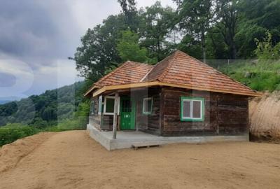 Casă cu 3 camere cu Teren 1000 Mp în Șugag - 2