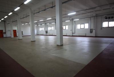 Hala productie    - Calea Torontalului de vanzare - 7