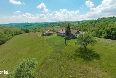 Casă cu 5 camere cu Teren 55706 Mp în Șinteu - 2