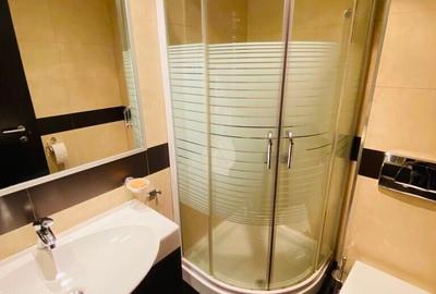 Apartament cu 3 camere decomandat, mobilat în Iancu Nicolae - 18