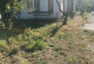Casă cu Teren 871 Mp în Cărășeu - 2