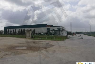 Spațiu industrial, 12400 mp în Fundulea