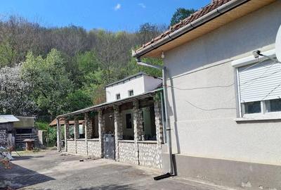 Casă cu 3 camere cu Teren 1500 Mp în Gurasada - 7