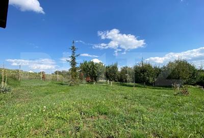 Casa spatioasa cu teren generos de 1600 mp, ideala pentru locuinta sau investiti - 5