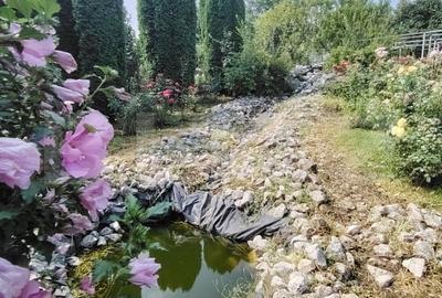 Casa cu mobilier premium si gradina spectaculoasa in Tarnaveni - 4