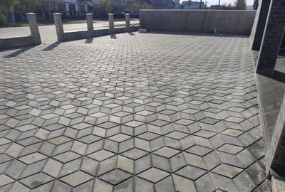 Cladire mixta, magazin, bar, spatiu birouri, Letcani - 6