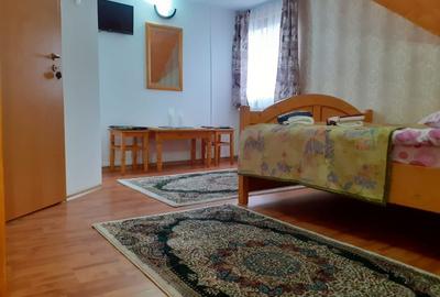 Vila Cu Priveliste Catre Castel De Vanzare In Bran - 25