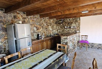 Casa de vacanta cu 6 camere + teren suprafata 7.384 mp, Bradet, Bihor - 14