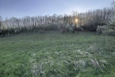Teren de 4309 mp, în Căinelu de Jos - 5