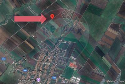 Teren agricol extravilan de 30000 mp, în Hălchiu - 6